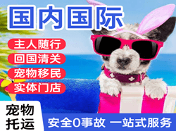 宁蒗泸沽湖航空运输国际宠物托运 【国